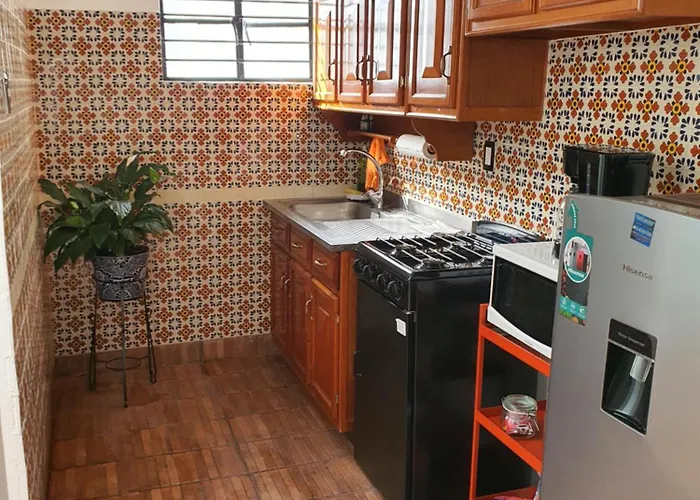 Hermoso Departamento Amplio Colonia Roma Sur